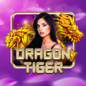 Dragon Tiger jljlph com login tournament